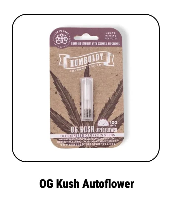 Humboldt Seed Company | OG Kush | Autoflower Seeds