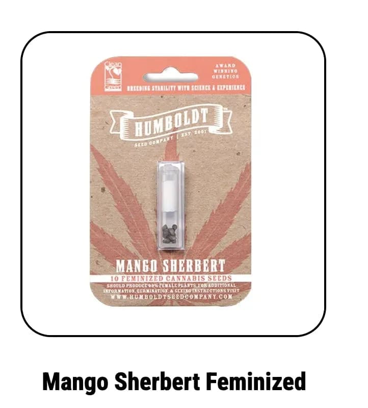Humboldt Seed Company | Mango Sherbert | Feminized Seeds