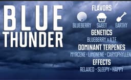 menu_item