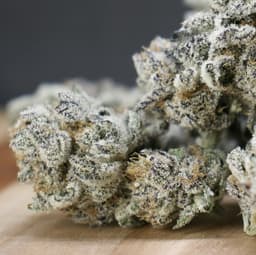 Maine Blueberry Muffins thumbnail 1