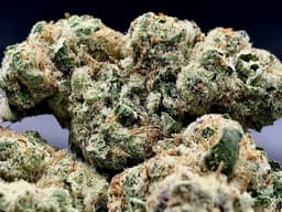 menu_item
