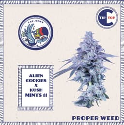 menu_item