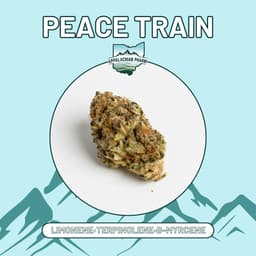 menu_item