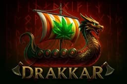 DRAKKAR logo