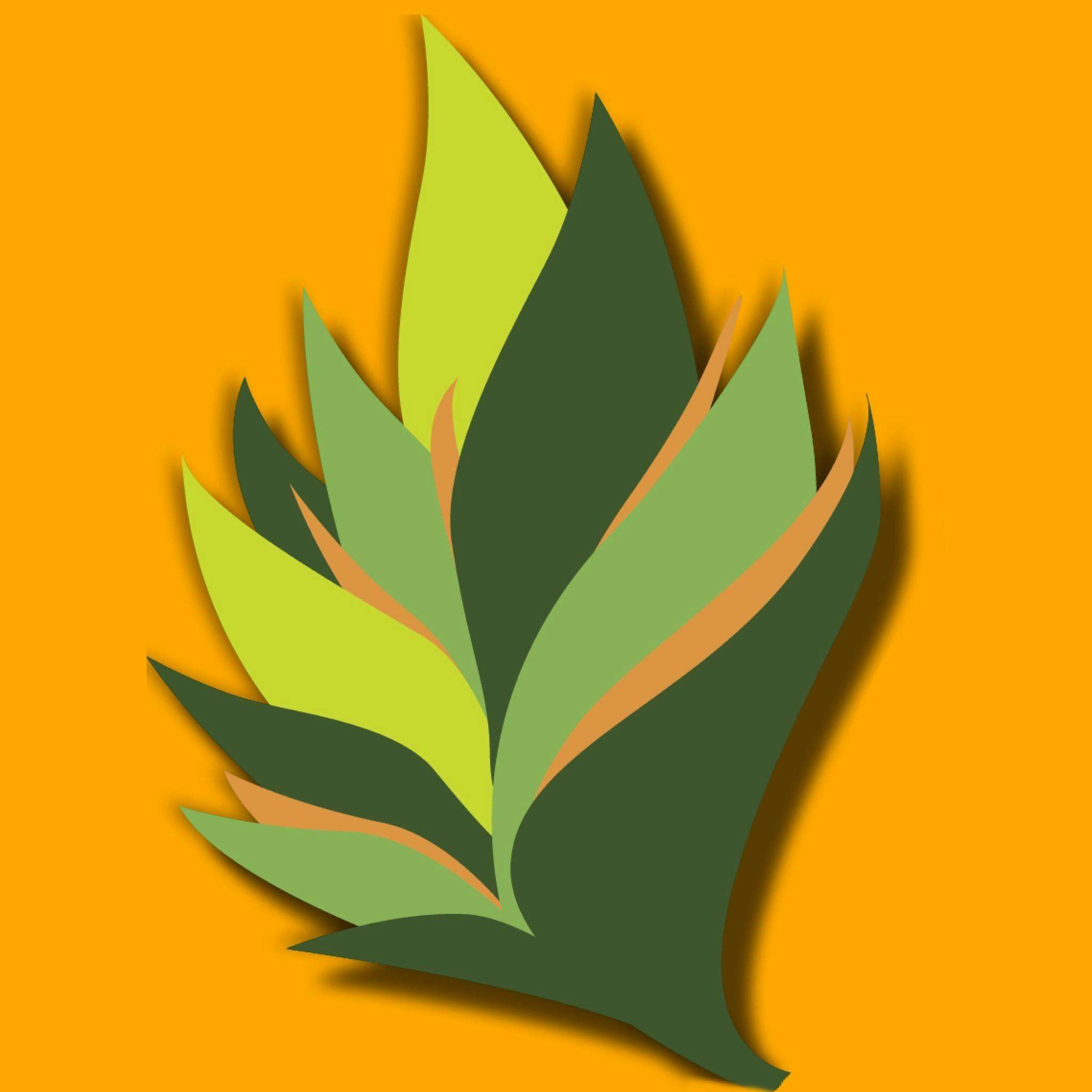 Positive Energy storefront banner - recreational marijuana dispensary