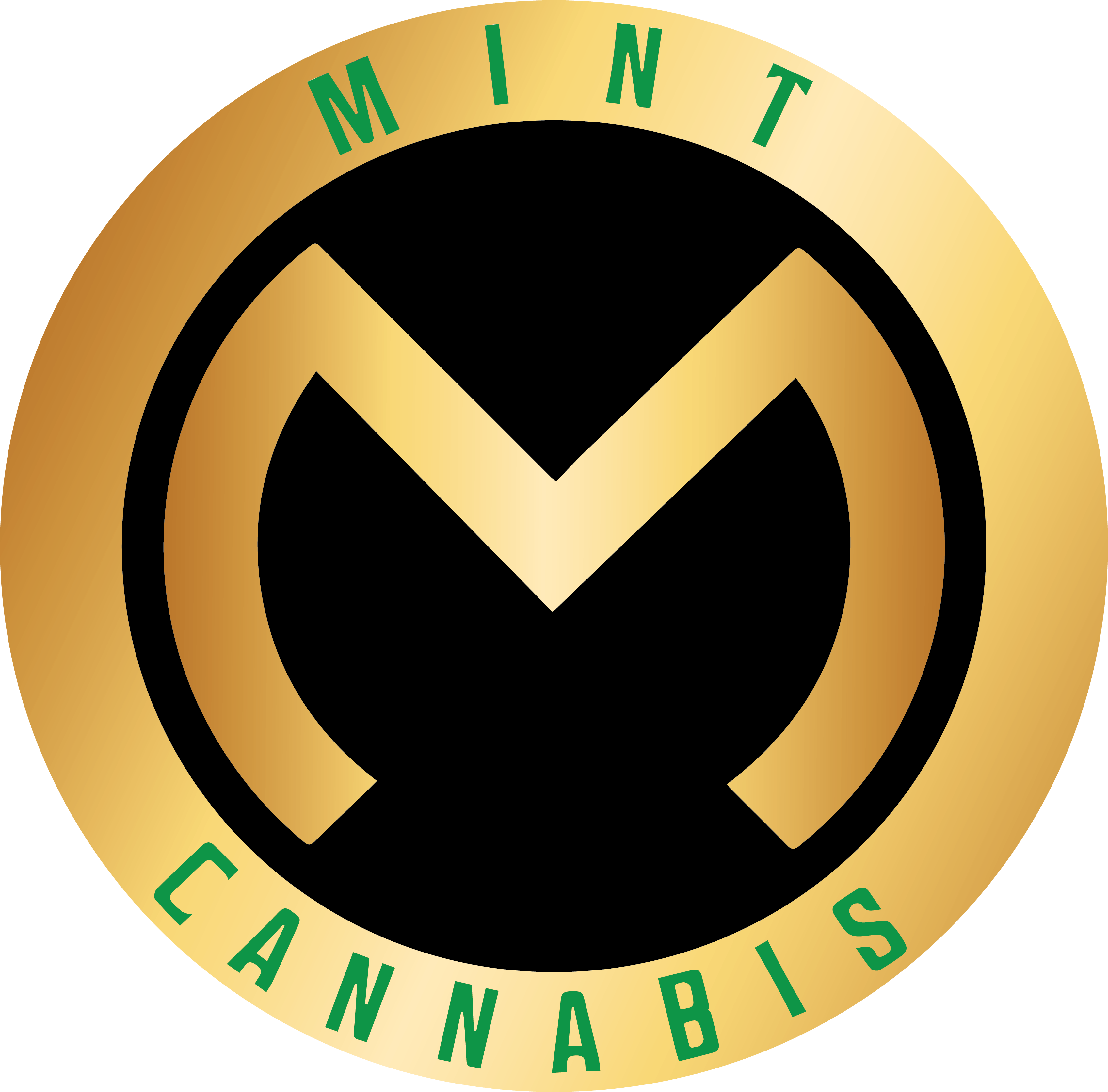 The Mint Cannabis - Kalamazoo storefront banner - recreational marijuana dispensary