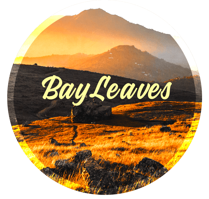 Bay Leaves storefront banner - recreational marijuana delivery