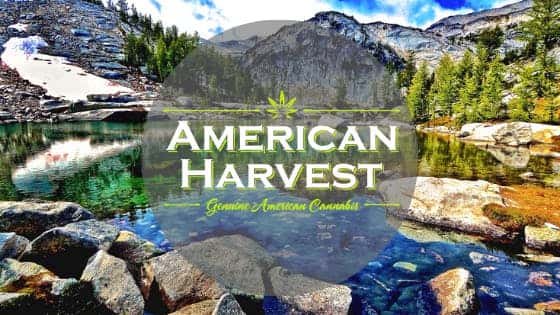 American Harvest storefront banner - recreational marijuana dispensary