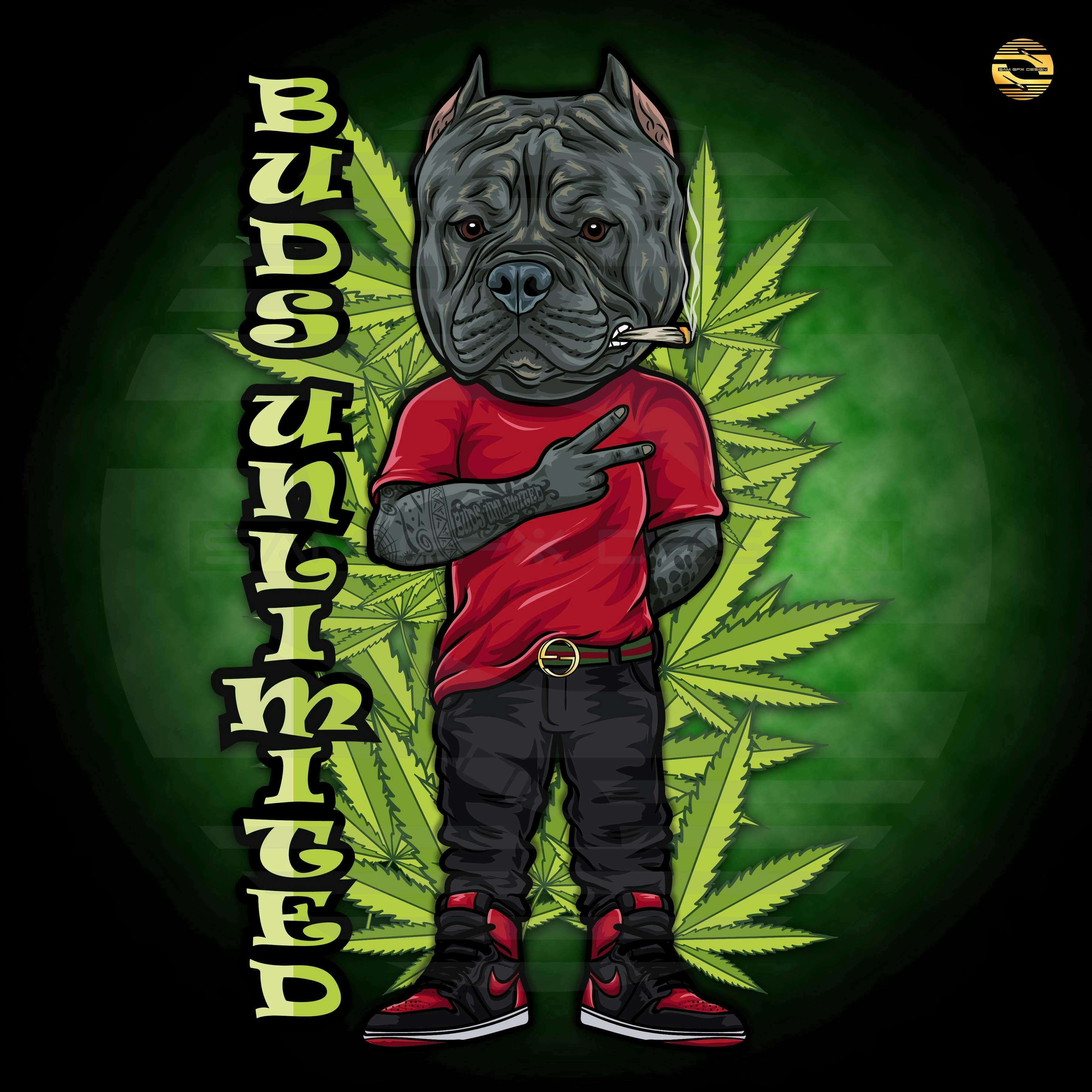 Super High storefront banner - recreational marijuana dispensary