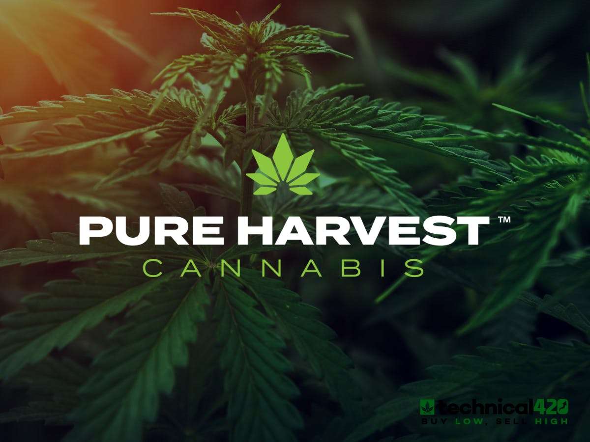 Pure Harvest storefront banner - recreational marijuana dispensary