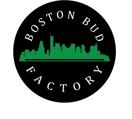 Boston Bud Factory storefront banner - recreational marijuana dispensary