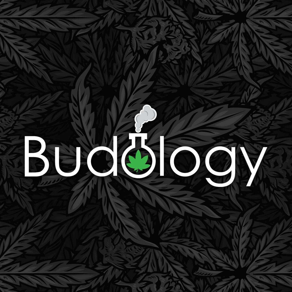 Budology storefront banner - recreational marijuana dispensary