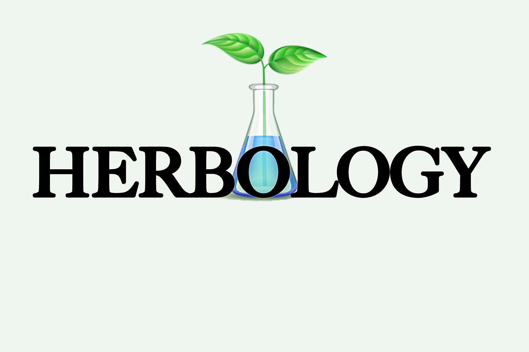 Herbology Mchenry storefront banner - recreational marijuana dispensary