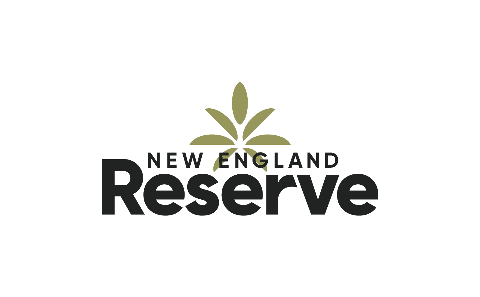 New England Reserve storefront banner - recreational marijuana dispensary