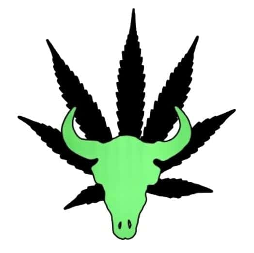 The Green Buffalo Dispensary storefront banner - recreational marijuana dispensary