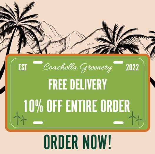 Coachella Greenery storefront banner - recreational marijuana delivery