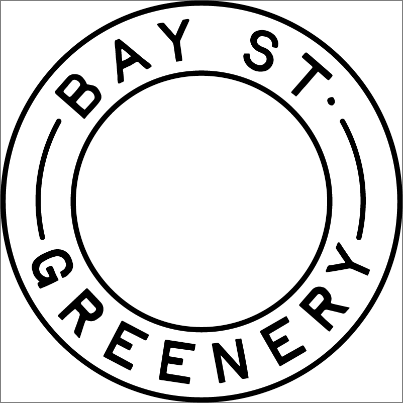 Bay Street Greenery storefront banner - recreational marijuana dispensary