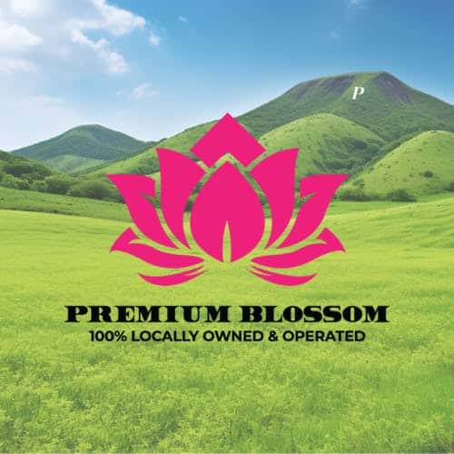Premium Blossom storefront banner - recreational marijuana dispensary