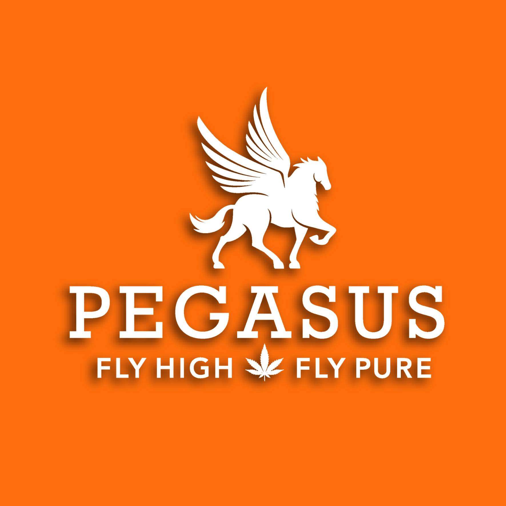 Pegasus “Fly High Fly Pure” storefront banner - recreational marijuana dispensary