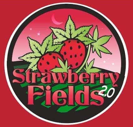 Strawberry Fields 2.0 storefront banner - recreational marijuana dispensary