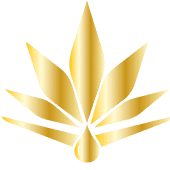 Bloom & Blaze storefront banner - recreational marijuana dispensary