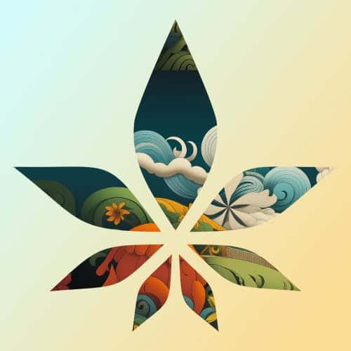Oasis Cannabis Co - Farmington - Now Open! storefront banner - recreational marijuana dispensary