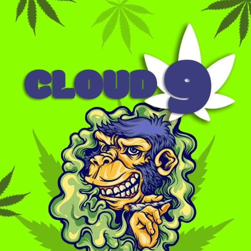 Cloud 9 storefront banner - recreational marijuana delivery