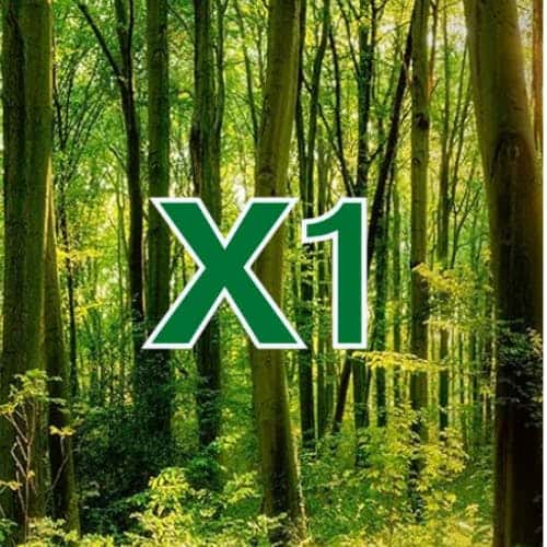 Stateline X One storefront banner - recreational marijuana dispensary