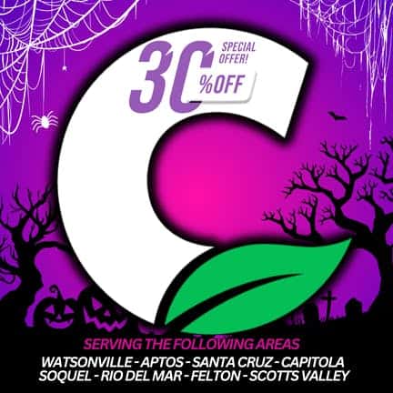 Cannarey Delivery - Santa Cruz storefront banner - recreational marijuana delivery