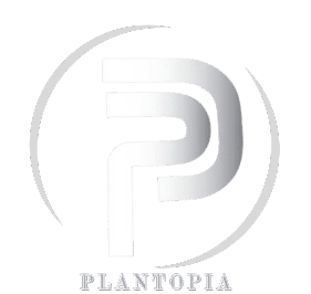PLANTOPIA LLC storefront banner - recreational marijuana dispensary