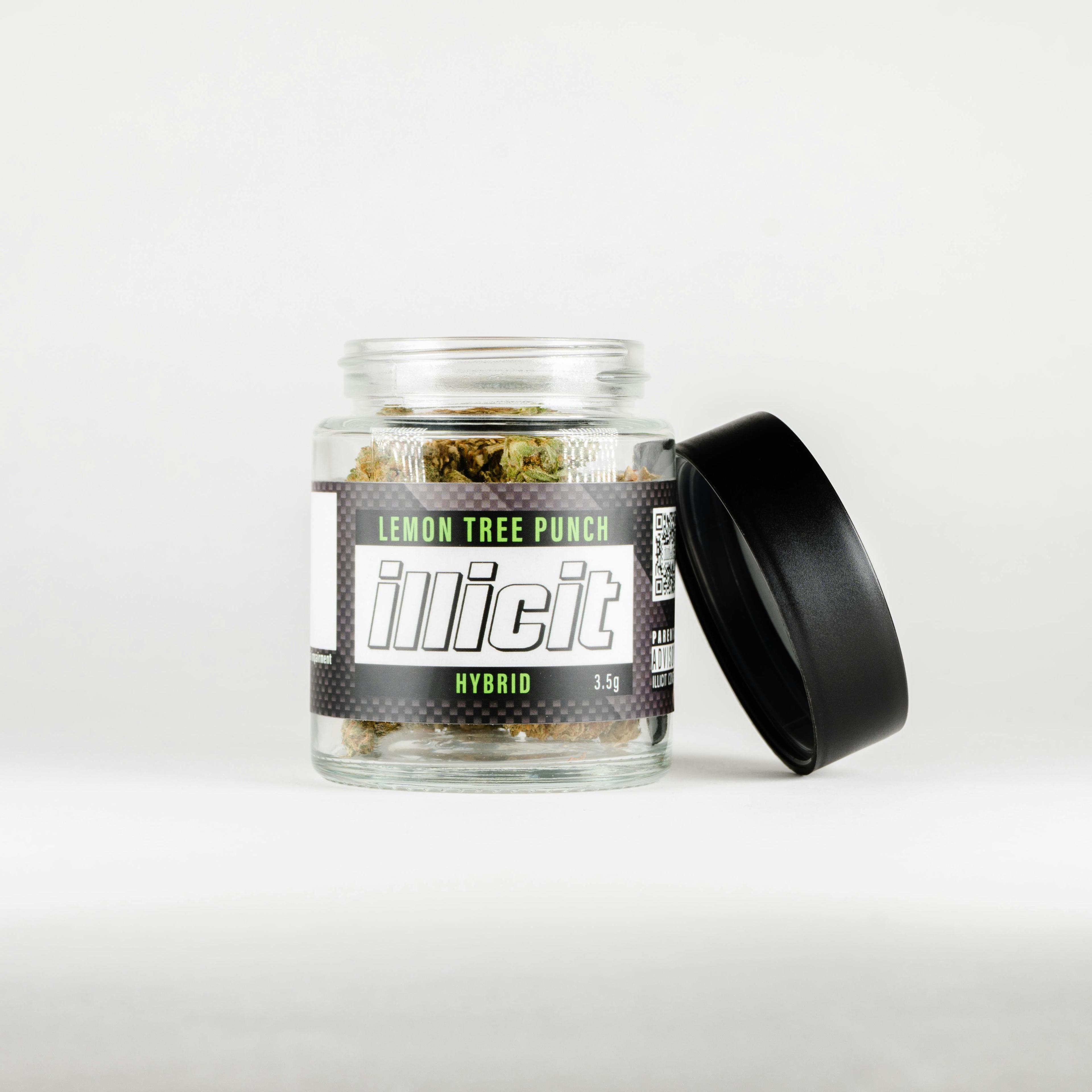Lemon Tree Punch 3.5G Flower