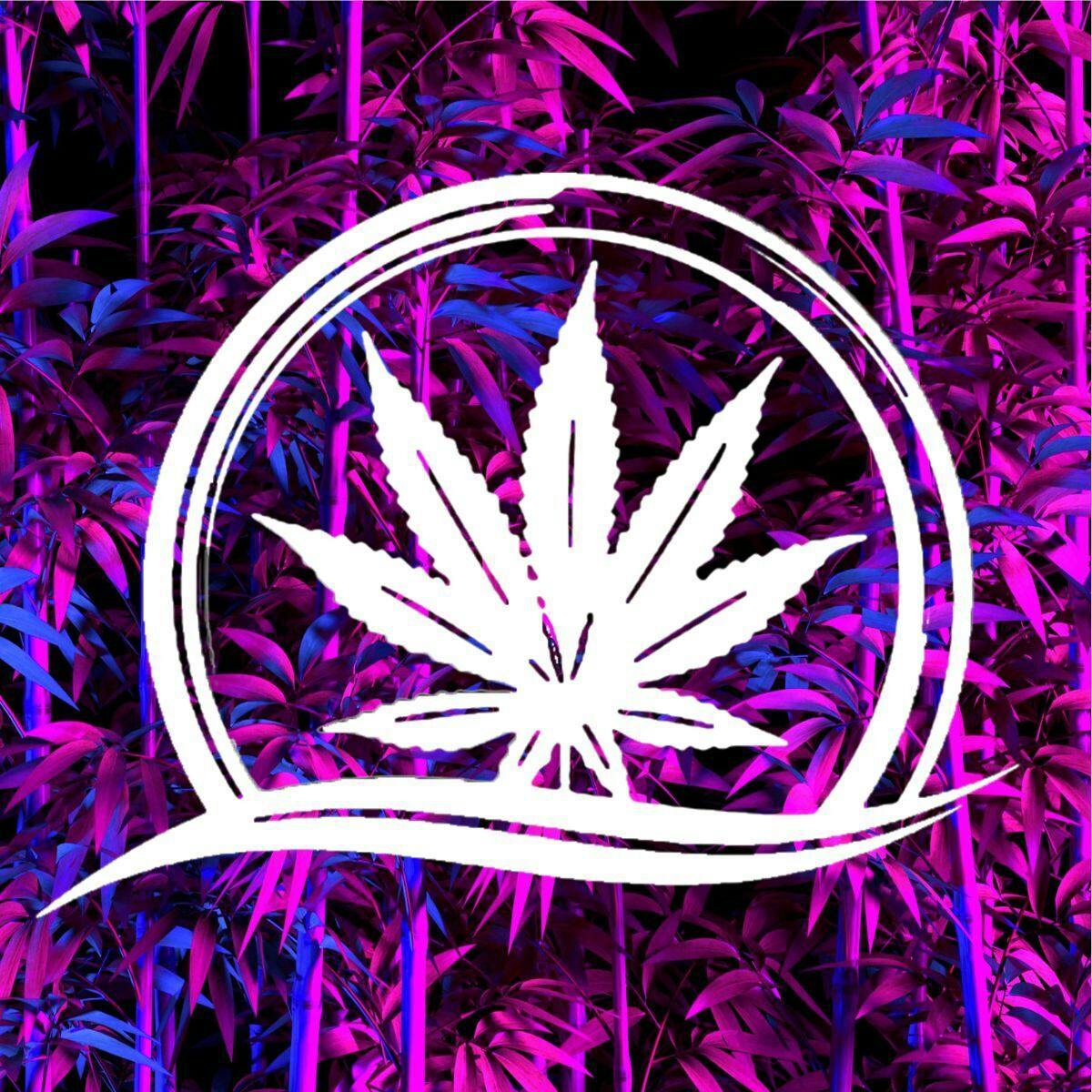 Higher Vision logo