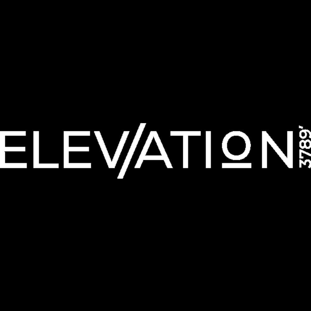 Elevation 3789 logo