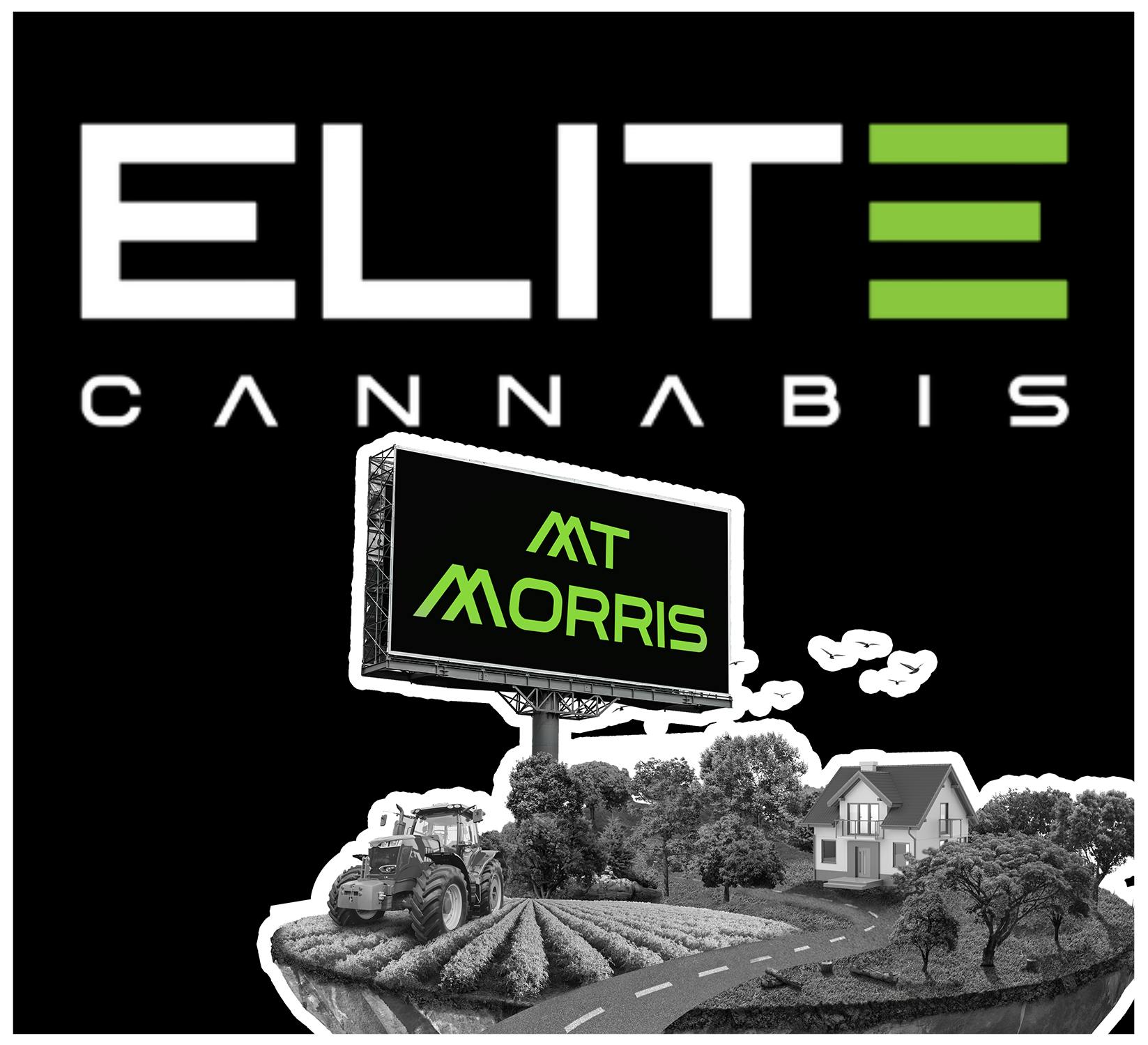Elite Cannabis - Mt. Morris - Recreational logo