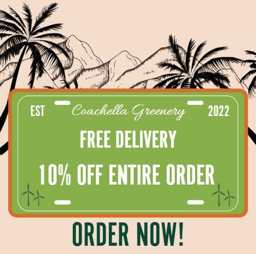 Coachella Greenery logo - Cannabis delivery service in Coachella