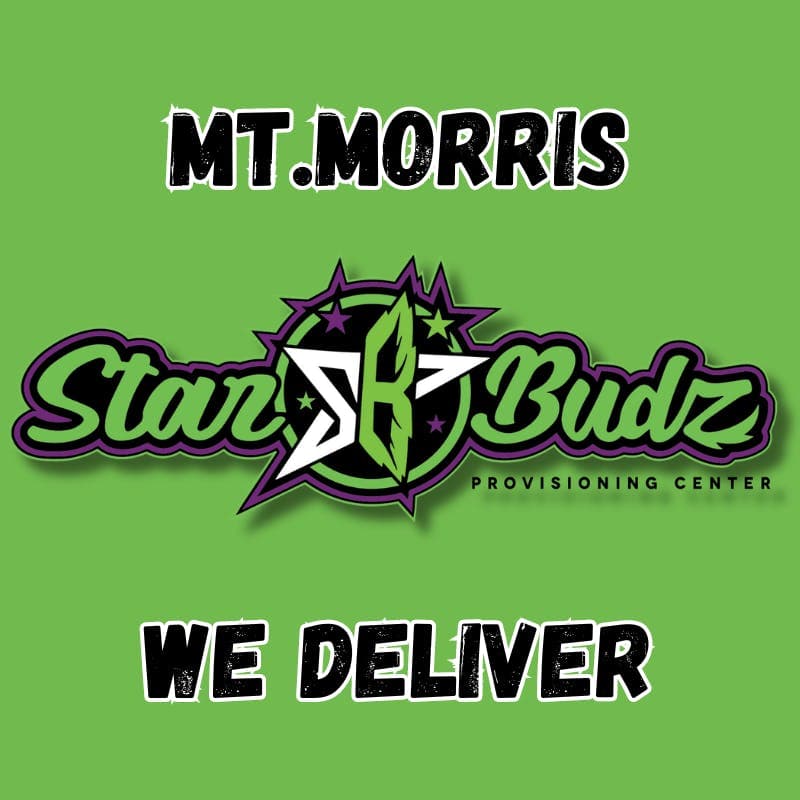 Star Budz - Mt Morris logo