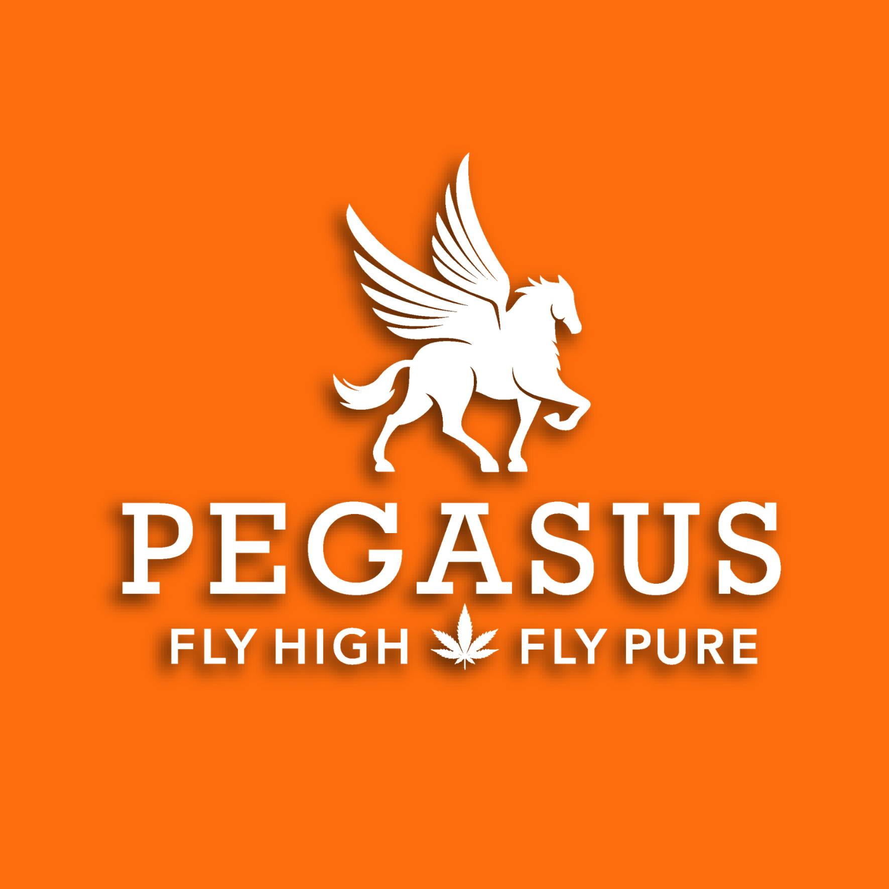 Pegasus “Fly High Fly Pure” logo