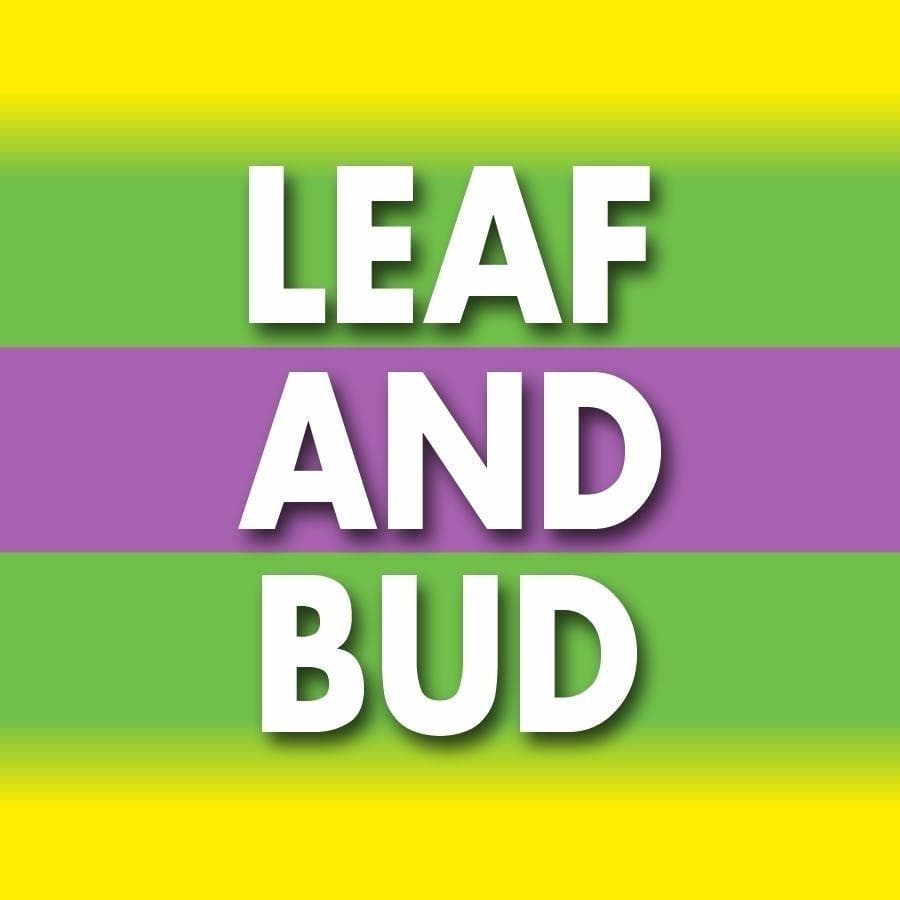 Leaf and Bud - Jackson logo