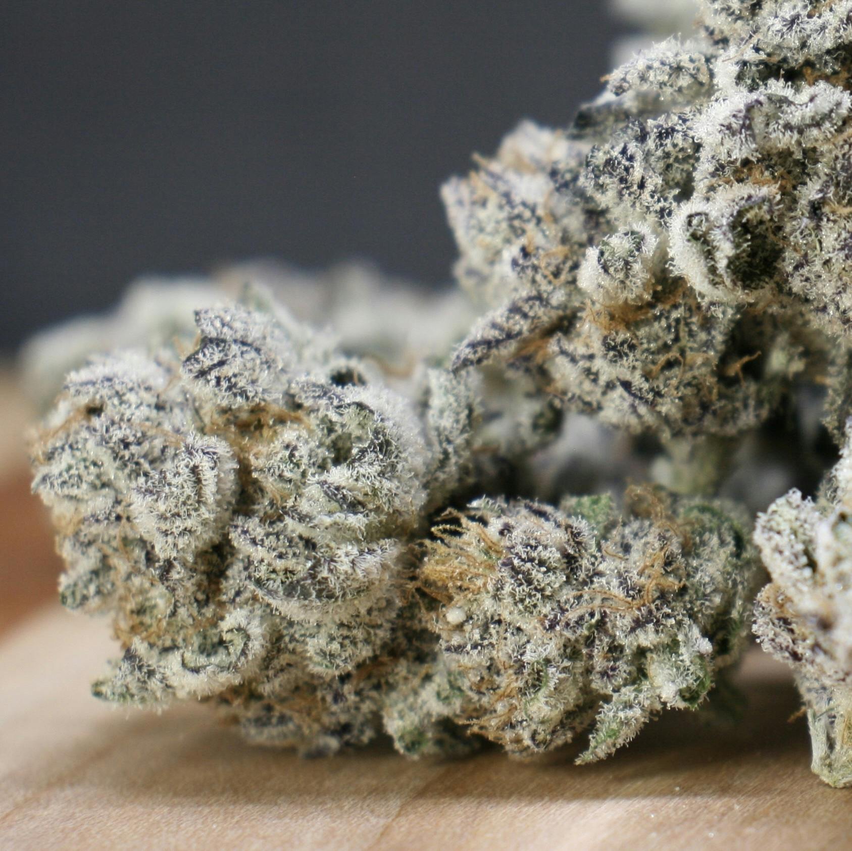 Maine Blueberry Muffins
