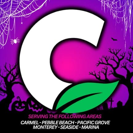 Cannarey Delivery - Monterey logo - Cannabis delivery service in Seaside