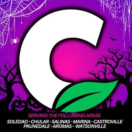 Cannarey Delivery - Salinas logo - Cannabis delivery service in Watsonville