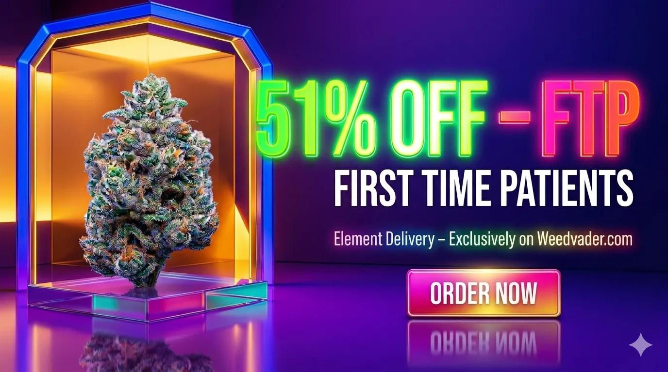 51%OFF LOWEST PRICES + GIFT