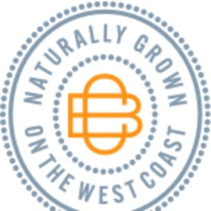 Broken Coast logo