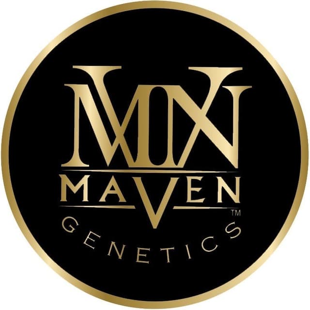 Maven Genetics logo