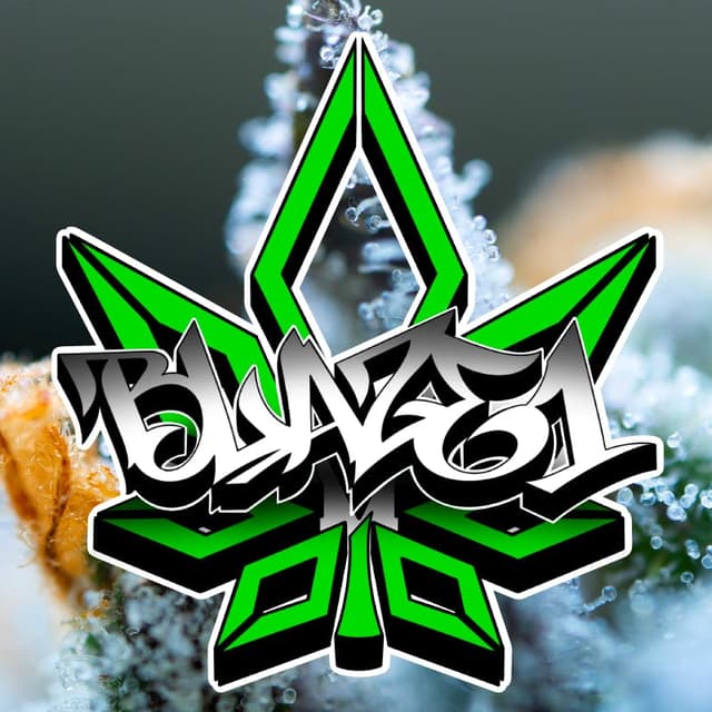 Blaze1 logo