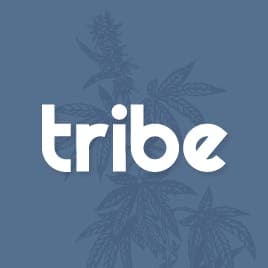 Tribe logo