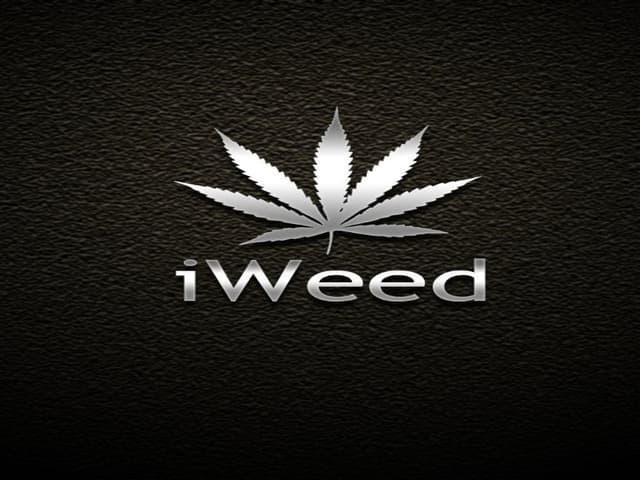 IWeed logo