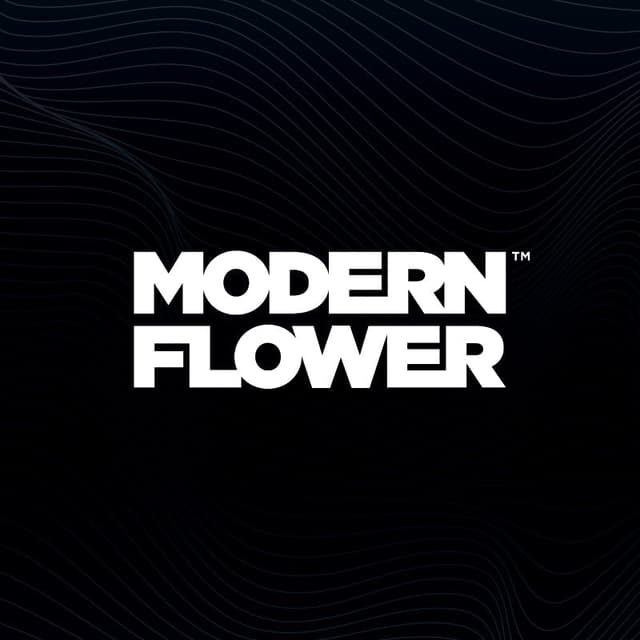 Modern Flower logo