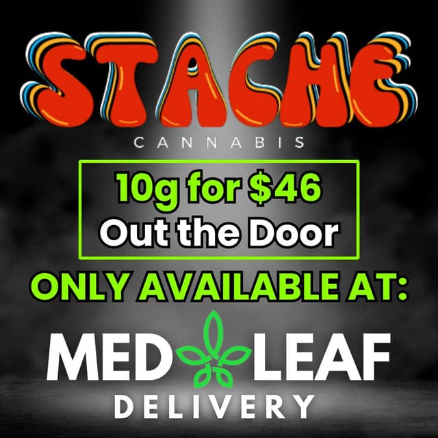 Stache logo