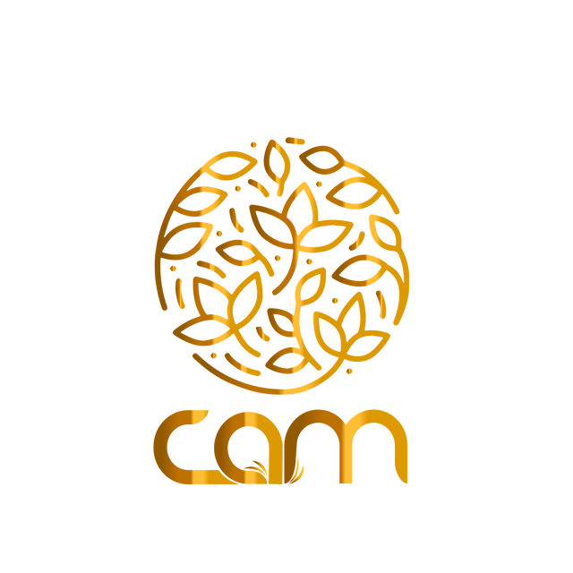 CAM logo